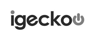 c_igeckoo