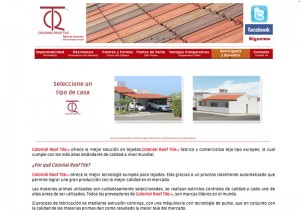 Website